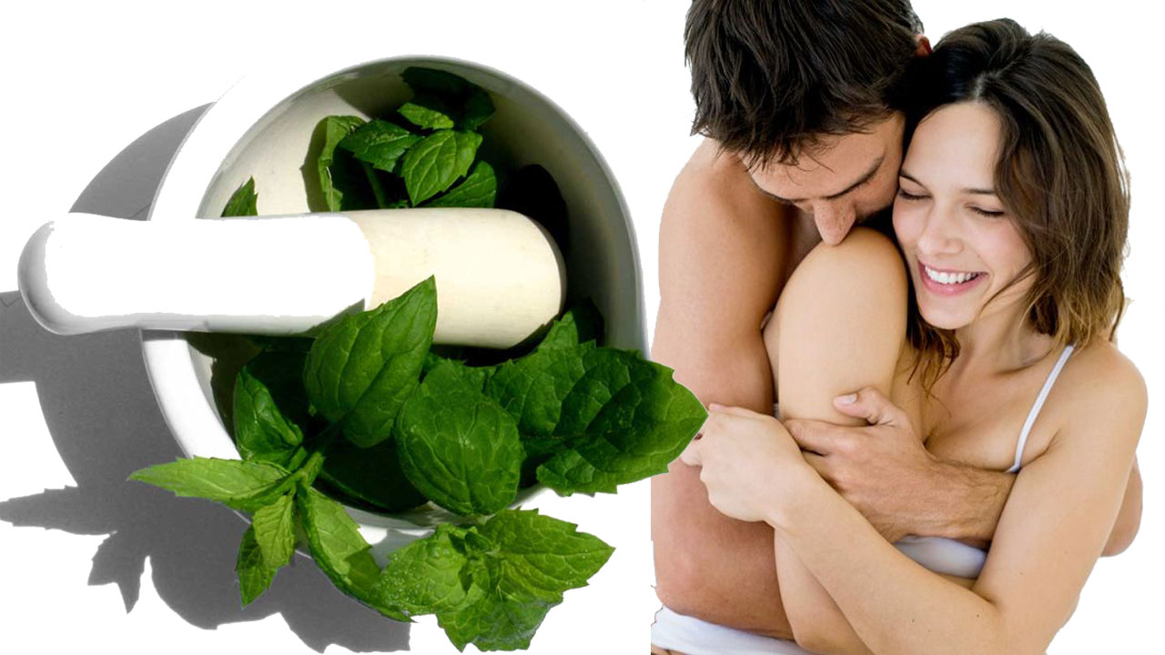 Plantas Para La Impotencia Masculina